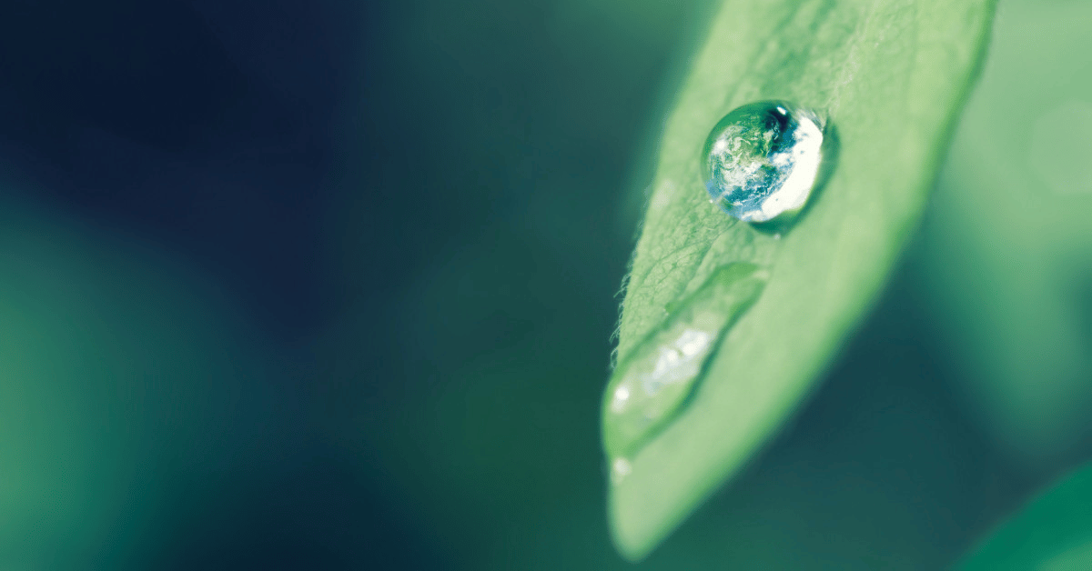 Water Drop (1)